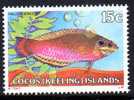 Cocos Islands 1979 Fishes 15c Pink Wrasse MNH  SG 38 - Islas Cocos (Keeling)