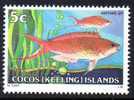 Cocos Islands 1979 Fishes 5c Barbier MNH  SG 36 - Islas Cocos (Keeling)