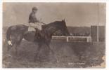 - NINO. - F. Hervé. - Photo: Pinabert. - - Reiten