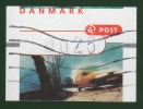 DANMARK - PIQUAGE A CHEVAL. - VOIR ! - Errors, Freaks & Oddities (EFO)