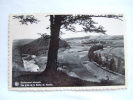 Herbeumont. Vue Prise De La Roche Du Moulin - Herbeumont