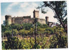 CPSM Grand Format ( 21x15)   CASTELNAU BRETONOUX  Le Chateau - Bretenoux