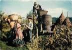 EN GIRONDE SCENE DE VENDANGES - Andere