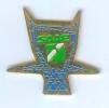 Pin's  SAAE - Blason - Poteau Haute Tension EDF - B784 - EDF GDF