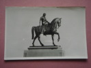 21313 PC: WARWICKSHIRE: Lady Godiva Statue, Coventry.  REAL PHOTOGRAPH. - Coventry