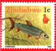 ZIMBABWE - Usato - 1990 - Risorse Naturali - Fauna - Pesci - Tigerfish (Hydrocyus Vittatus) - 1 C. - Zimbabwe (1980-...)