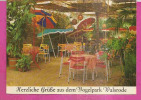 WALSRODE  -  GRÜSSE AUS DEM VOGELPARK * TROPENCAFE IN DER PARADIESHALLE *   -  Verlag : H. MÜLLER Aus Braunschweig   N°/ - Walsrode