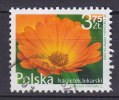 Poland 2009 Mi. ????      2.30 Zl Blume Flower - Usados