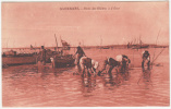 17 - Marennes - Pêche Des Huitres à D'Erre - Editeur: Bergevin - Marennes