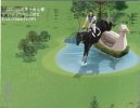(800) Hippisme - Horse Racing - Hong Kong 2008 Olympic Games Equestrian Events - Reitsport