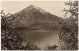 CH - BE - Bei Sigriswil Am Thunersee, Riesen - Phot. E. Gyger N° 3873 (gelaufen / Circulée 1935) - Sigriswil