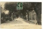 Carte Postale Ancienne Apt - Avenue Philippe De Girard - Apt