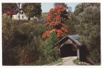 USA -STOWE HOLLOW COVERED BRIDGE ~ SCENIC VERMONT C1960s Vintage Postcard - VT   [c2589] - Other & Unclassified