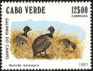 Cap Vert. Cape Verde .1981  Pintade De Numidie ( Numida Meleagris ).  ** - Gallinacées & Faisans