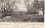 Verliefde Boomen - Valkenburg