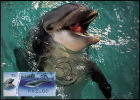 2012 Israel  Bottlenose Dolphin ATM 006 MC 2 - Dauphins