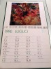 Alt116 Calendario90, Umberto Boccioni, Artista, Pittore, Quadri, Autoritratto, Officine Porta Romana, Dinamismo Ciclista - Big : 1981-90