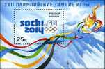 2011 Russia Winter Olympic Games Sochi 2014. MS - Blocs & Hojas