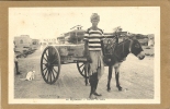 DJIBOUTI     PORTEUR  DE   SABLE - Djibouti