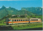 Train GFM Et Gruyères, Dents Broc, Chamois Et Bourgoz - Broc