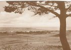 Hiddensee, Ausblick, Um 1930 - Hiddensee