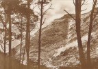 Hiddensee, Bewachsene Steilküste, Um 1930 - Hiddensee