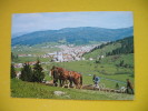 Delcampe - ZIRI SLOVENIJA,FARMERS PLOUGH A FIELD - Bauernhöfe