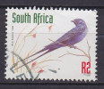 South Africa 1999 Mi. 1110 A     2 R Bird Vogel Blue Swallow Stahlschwalbe - Usati