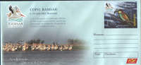 Romania-Postal Stationery Cover 2012- Pelicans; Pélicans; Pelikane - Unused - Pélicans
