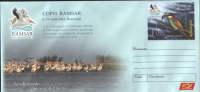 Romania-Postal Stationery Cover 2012,unused- Pelicans; Pelikane - Pelicans