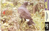 Nº 152 TARJETA DE UN PAJARO DE URUGUAY AGUILA NEGRA (BIRD) - Águilas & Aves De Presa