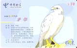 TARJETA DE CHINA DE UN AGUILA  (EAGLE-BIRD) - Eagles & Birds Of Prey