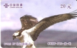 TARJETA DE CHINA DE UN AGUILA PESCADORA  (EAGLE-BIRD) (6-6) - Aquile & Rapaci Diurni