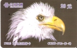 TARJETA DE CHINA DE UN AGUILA  (EAGLE-BIRD) (6-5) - Aquile & Rapaci Diurni