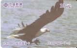 TARJETA DE CHINA DE UN AGUILA  (EAGLE-BIRD) (6-2) - Eagles & Birds Of Prey