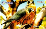 TARJETA DE CHINA DE UN CERNICALO  (KESTREL-EAGLE-BIRD) - Águilas & Aves De Presa