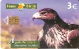 TARJETA DEL AGUILA PERDICERA DE LA FAUNA IBERICA Y TIRADA 4000 - Águilas & Aves De Presa