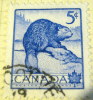Canada 1954 Beaver National Wildlife Week 5c - Used - Oblitérés