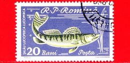 Nuovo Oblit. - ROMANIA - 1960 - Fauna Marina - Pesci - Fish - Poisson -  Luccio - 20 Bani - Neufs