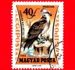 UNGHERIA - Usato - 1962 - Uccelli - Bird - Oiseaux - Osprey (Pandion Haliaetus) - 40 - Posta Aerea - Usado