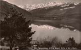 12 / 8 / 12  -   IMMENSEE - Blick Gegen ARTH U. Die Alpen  CPSM - Arth