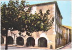 11. Cpsm. Gf. SIGEAN. La Grand' Rue. Les Arcades De La Place De L'Eglise. 3 - Sigean