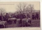 Non Localisé .L' Auvergne Pittoresque . Cantal  15     La Foire Aux Moutons  (voir Scan) - Auvergne