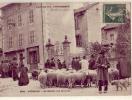 Aurillac    15     Marché Aux Moutons    (voir Scan) - Aurillac