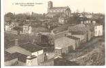 85  -  CHAILLE-les-MARAIS  - Vue Panoramique  - Petite Animation - Chaille Les Marais