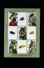 AUSTRALIA - 2005 AUSTRALIAN PARROTS SPECIAL MS MINT NH ONLY FROM YEAR BOOK - Blocks & Sheetlets