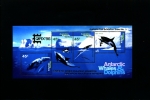 AUSTRALIAN ANTARCTIC TERRITORY-1995 WHALES & DOLPHINS MS MINT NH OVPT CAPEX 96 - Blokken & Velletjes