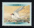 Canada MNH Scott #1887 47c Arctic Tern - Birds Of Canada - Unused Stamps