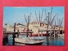 - Florida > Fort Myers   Large Shrimp Fleet    Early Chrome ----   --- Ref 608 - Fort Myers