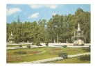 Cp, Russie, Env. De Leningrad, Petrodvorets, The Roman Fountains - Russland